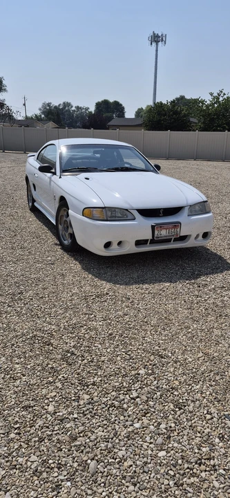 1995 Ford SN95 Mustang Cobra - Image 14 of 31