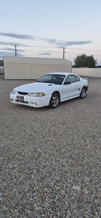 1995 Ford SN95 Mustang Cobra - Image 2 of 31