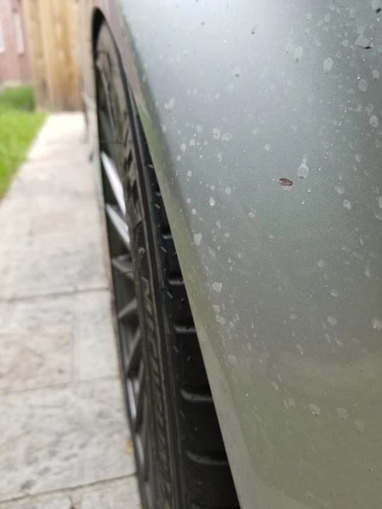 2004 Audi B6 S4 - Image 31 of 31
