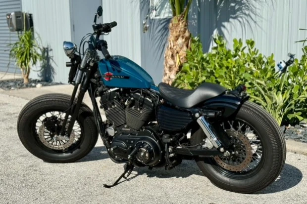 2007 Harley-Davidson Sportster Rubber Mount - Image 2 of 6
