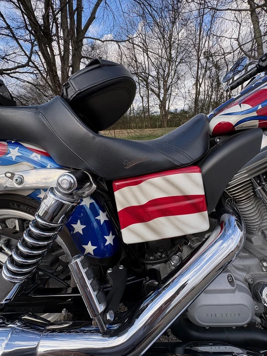 2010 Harley-Davidson Dyna Twin Cam - Image 21 of 31
