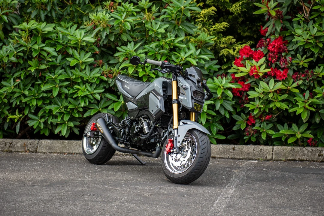 2020 Honda Motorcycles - Image 3 of 31