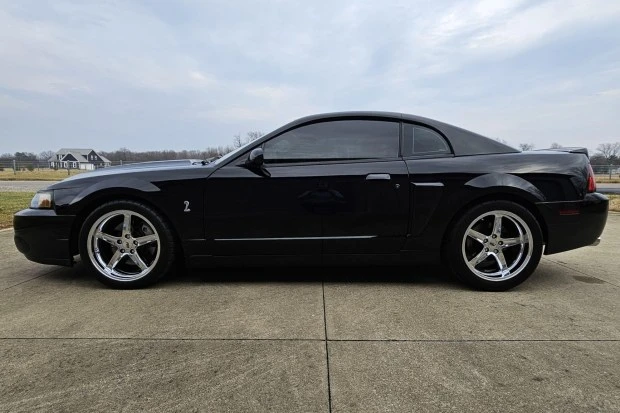 2003 Ford SN95 Mustang Cobra - Image 3 of 7