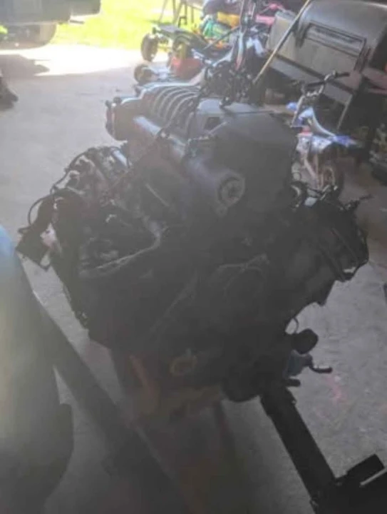Shelby - Image 3 of 5