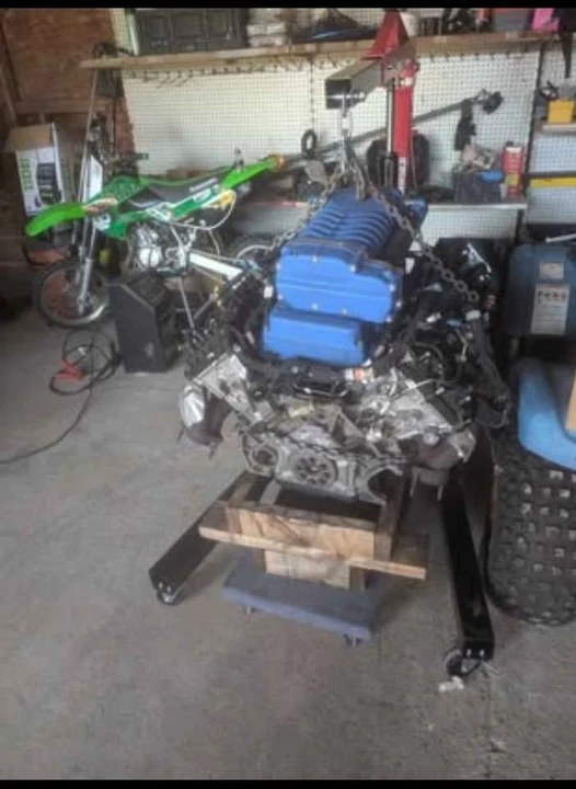 Shelby - Image 2 of 5