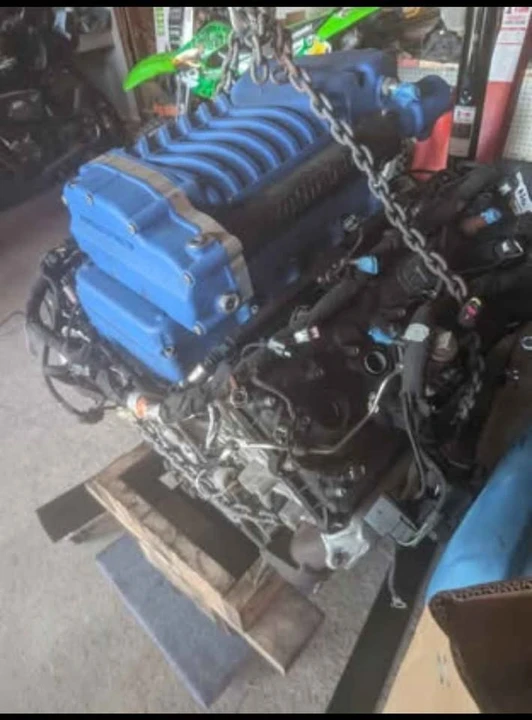 Shelby - Image 4 of 5