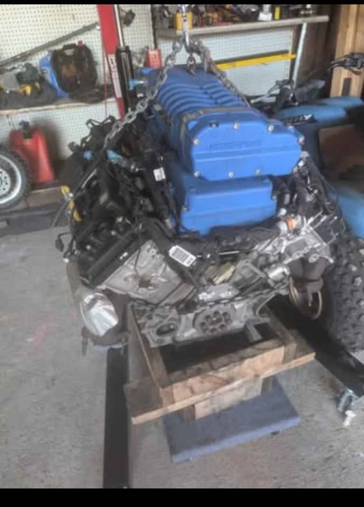 Shelby - Image 5 of 5