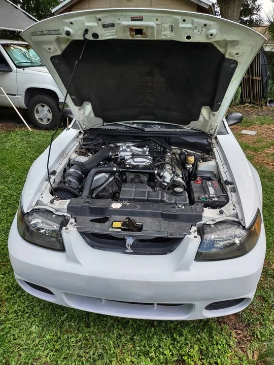 1999 Ford SN95 Mustang Cobra - Image 12 of 13