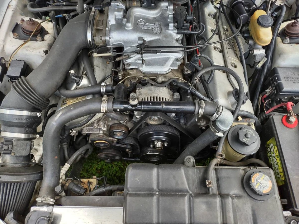 1999 Ford SN95 Mustang Cobra - Image 13 of 13