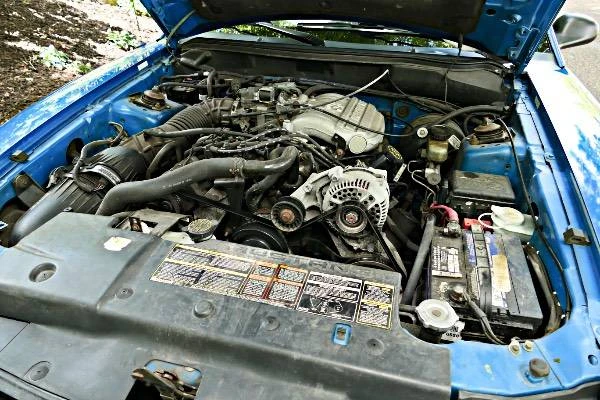 1995 Ford SN95 Mustang - Image 18 of 20
