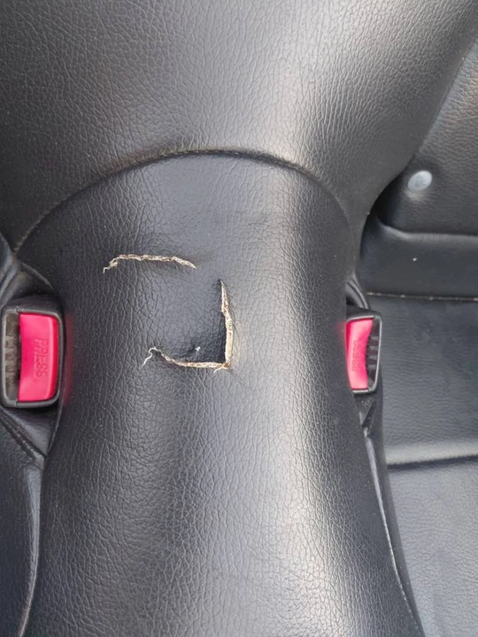 2006 Ford S197 Mustang - Image 4 of 9