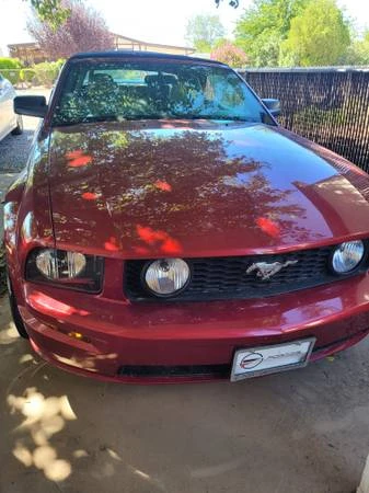 2006 Ford S197 Mustang - Image 2 of 5