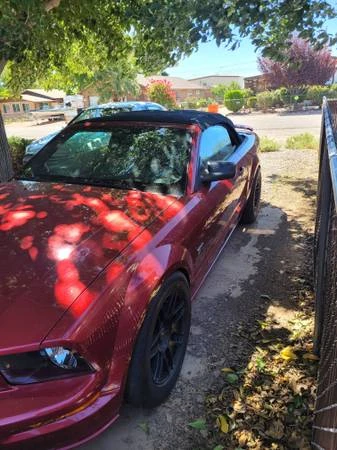 2006 Ford S197 Mustang - Image 3 of 5