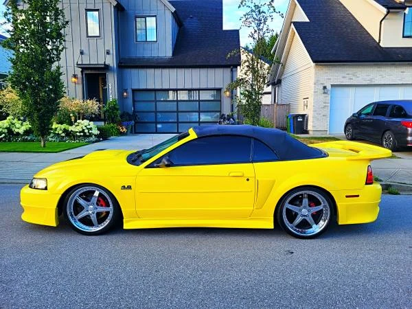 2003 Ford SN95 Mustang - Image 8 of 12