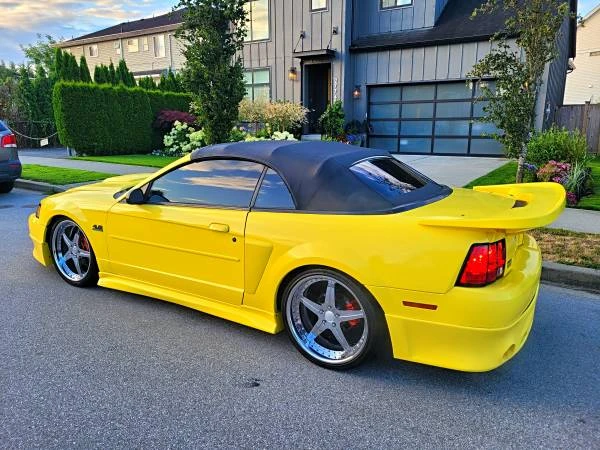 2003 Ford SN95 Mustang - Image 7 of 12