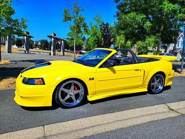 2003 Ford SN95 Mustang - Image 2 of 12