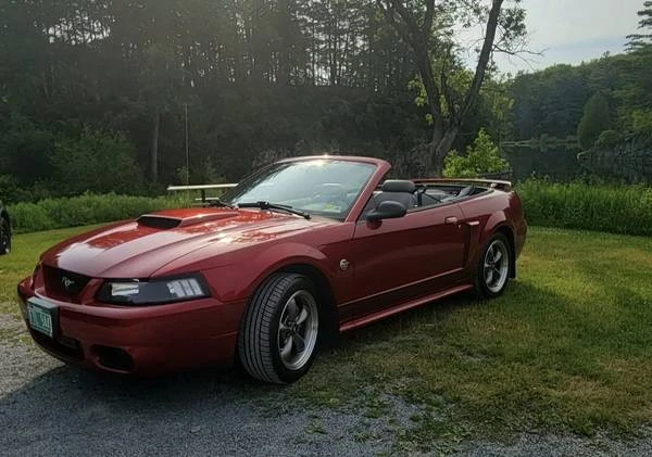 2004 Ford SN95 Mustang - Image 4 of 15