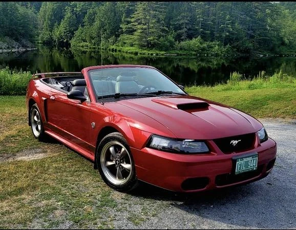 2004 Ford SN95 Mustang - Image 3 of 15