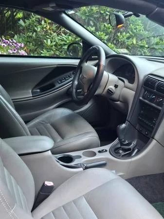 2004 Ford SN95 Mustang - Image 13 of 15
