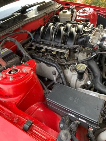 2006 Ford S197 Mustang - Image 14 of 16