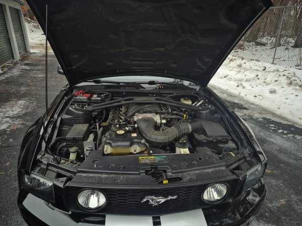 2005 Ford S197 Mustang - Image 13 of 13