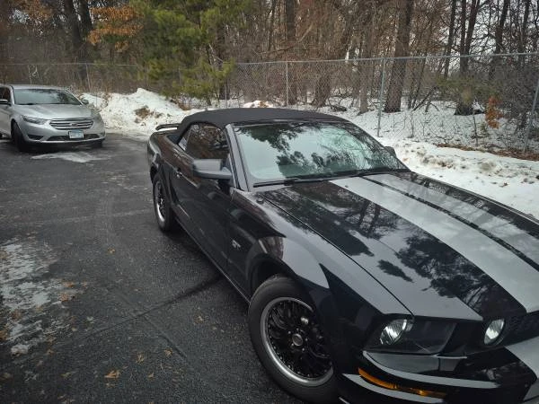 2005 Ford S197 Mustang - Image 6 of 13