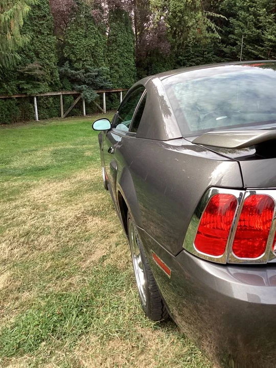 2003 Ford SN95 Mustang - Image 7 of 11