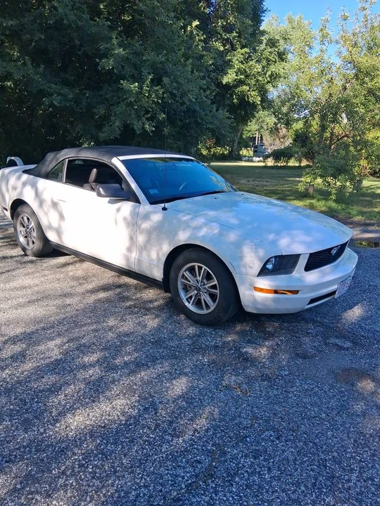 2005 Ford S197 Mustang - Image 3 of 20