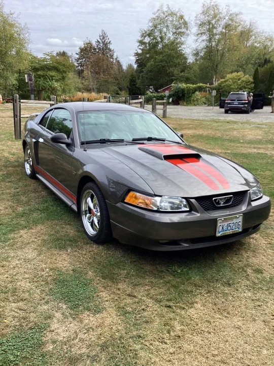 2003 Ford SN95 Mustang - Image 2 of 11