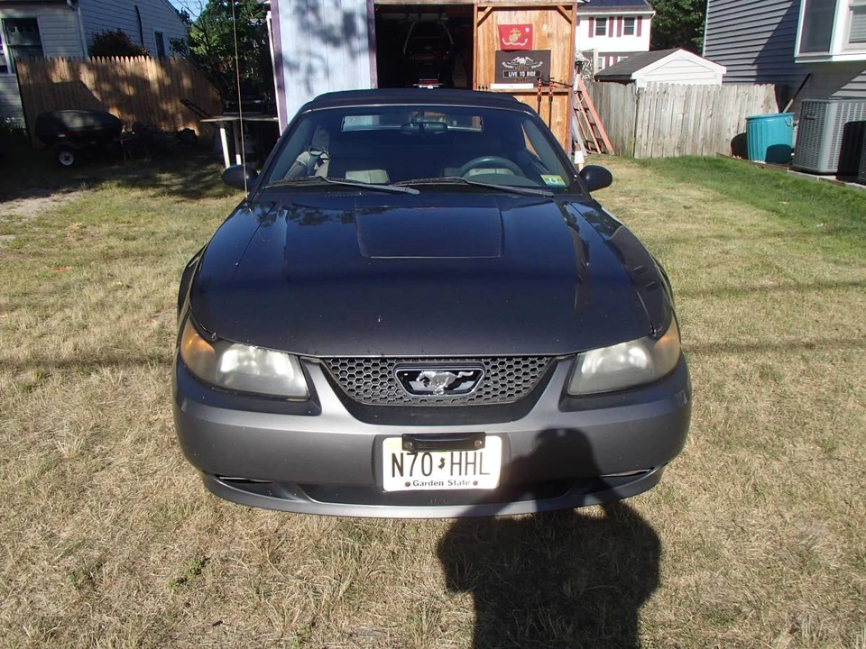 2003 Ford SN95 Mustang - Image 4 of 4