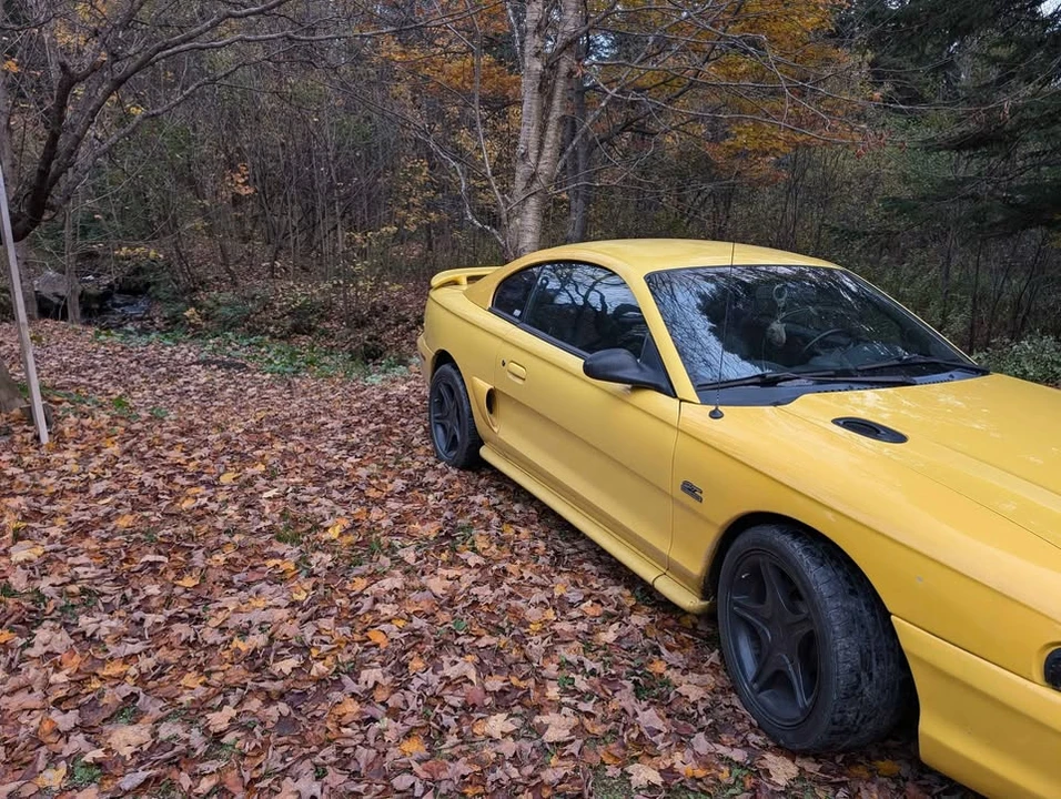 1994 Ford SN95 Mustang - Image 4 of 4