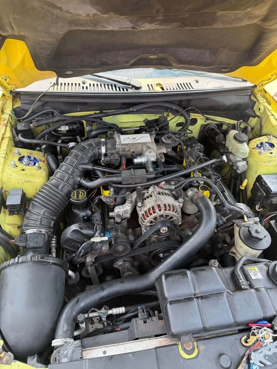 2003 Ford SN95 Mustang - Image 3 of 5