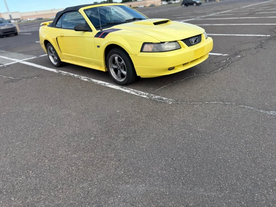 2003 Ford SN95 Mustang - Image 5 of 5
