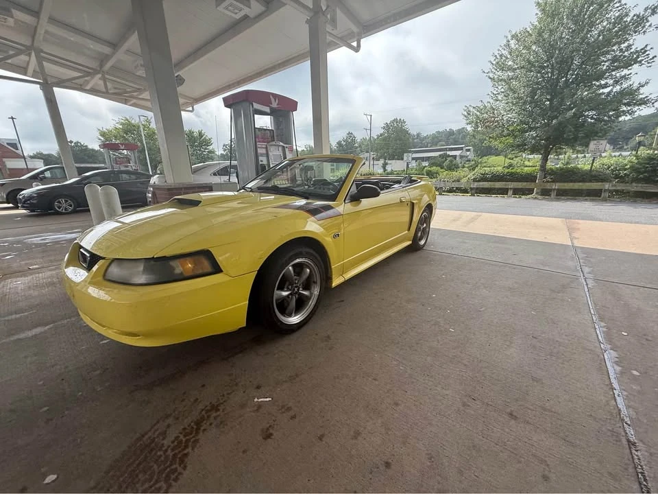 2003 Ford SN95 Mustang - Image 4 of 5