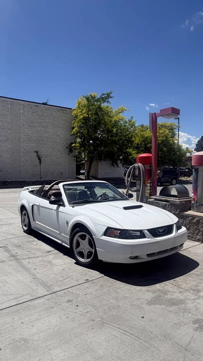 2004 Ford SN95 Mustang - Image 8 of 8