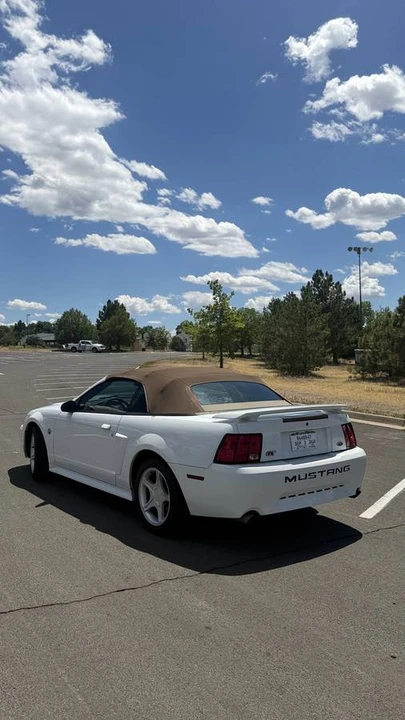 2004 Ford SN95 Mustang - Image 6 of 8