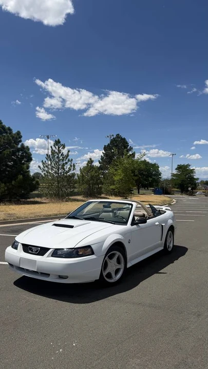 2004 Ford SN95 Mustang - Image 4 of 8