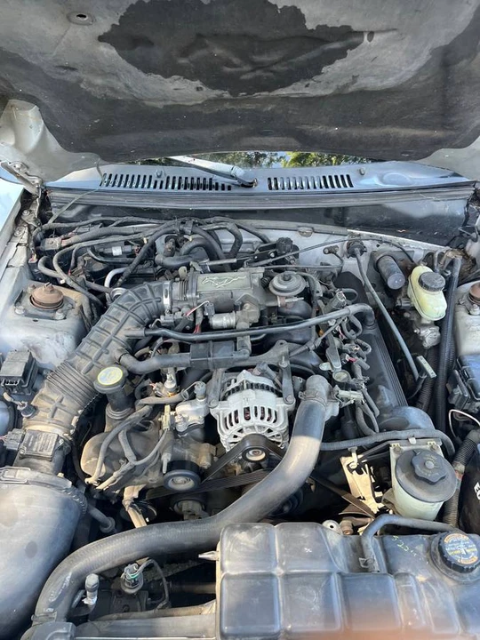 2000 Ford SN95 Mustang - Image 8 of 19