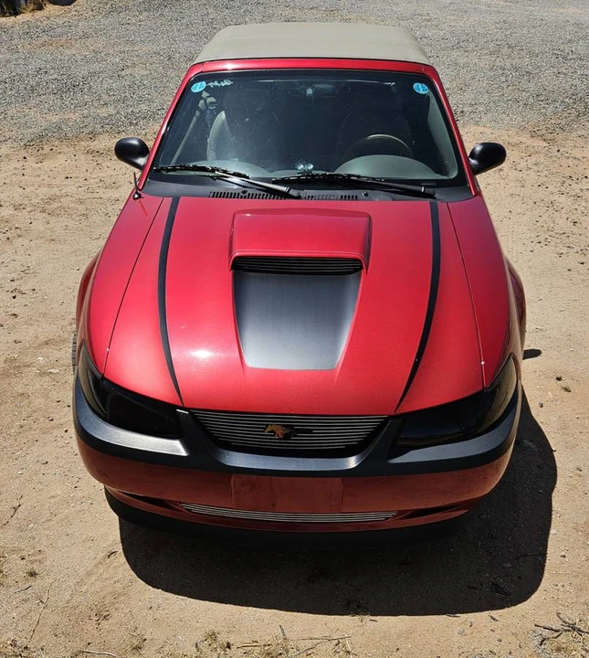 2002 Ford SN95 Mustang - Image 4 of 8