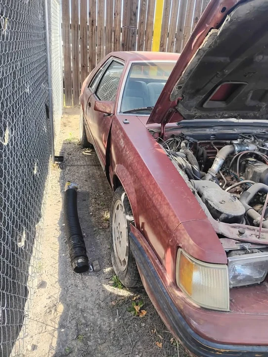 1985 Ford Mustang SVO 3rd Gen - Image 3 of 4