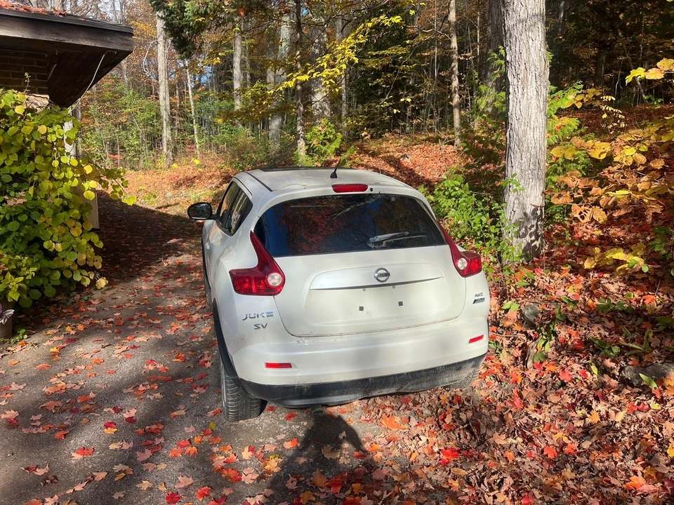 2012 Nissan Juke - Image 3 of 6