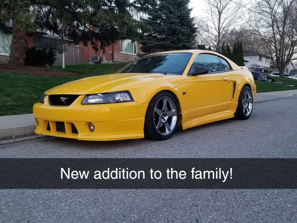 Ford SN95 Mustang - Image 10 of 10