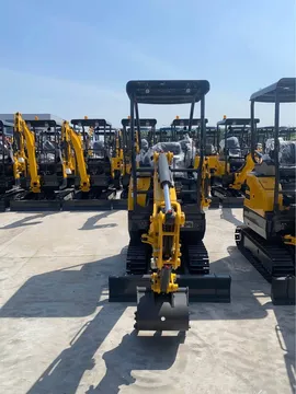 2024 Mini Excavator