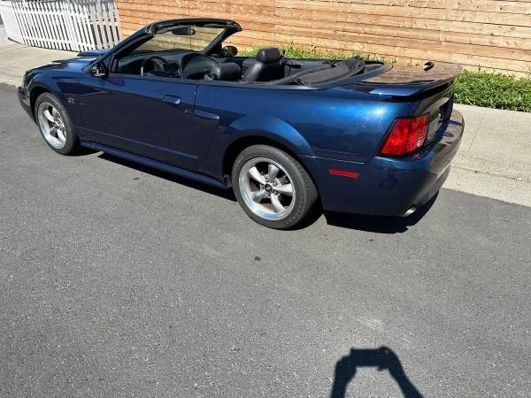 2002 Ford SN95 Mustang - Image 10 of 21