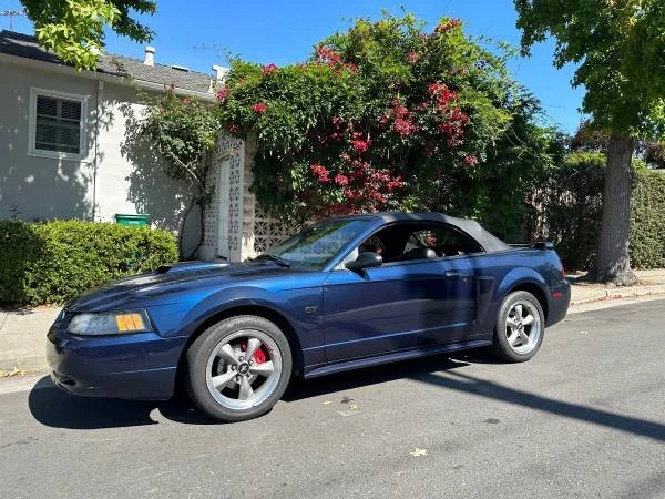 2002 Ford SN95 Mustang - Image 7 of 21