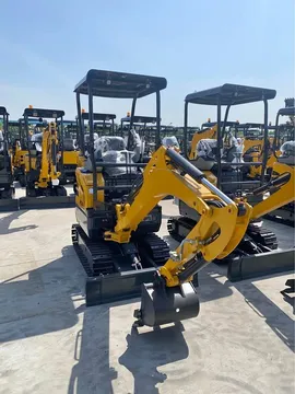 Parts & Memorabilia Mini Digger