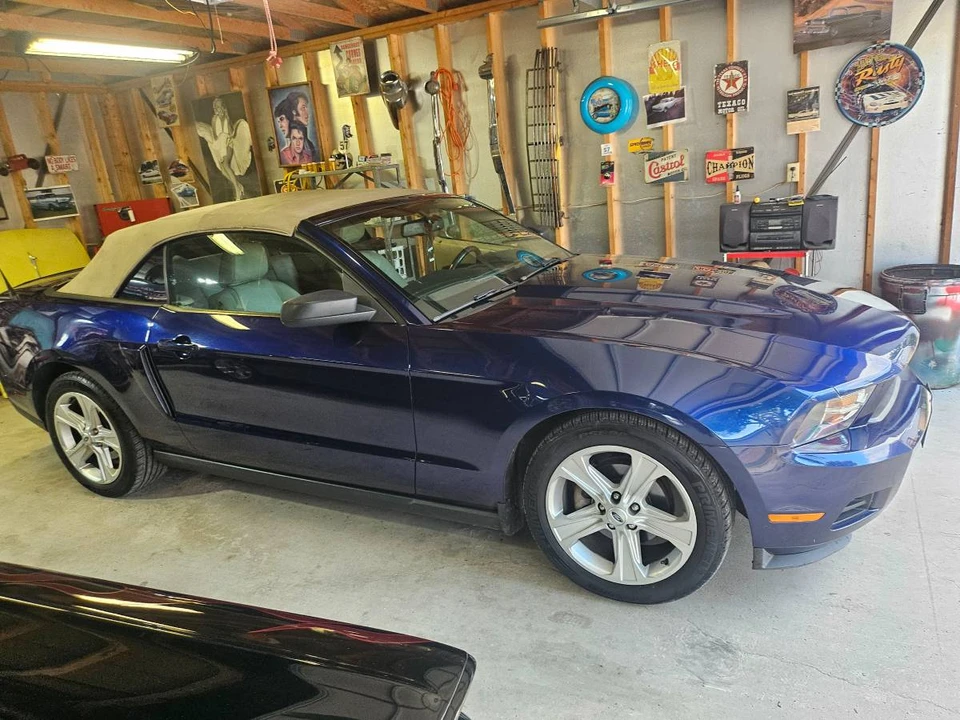 2010 Ford S197 Mustang - Image 8 of 16