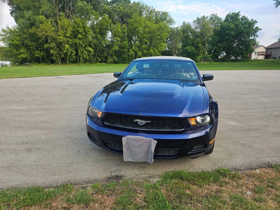 2010 Ford S197 Mustang - Image 11 of 16