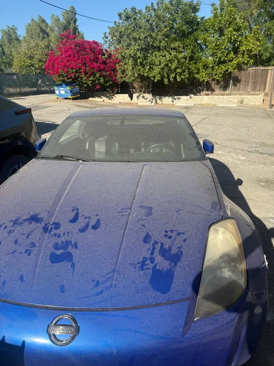 2011 Nissan 370Z 6th Gen - Image 4 of 4