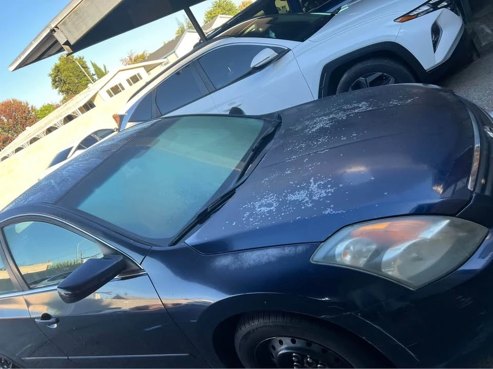 Nissan Altima - Image 11 of 12